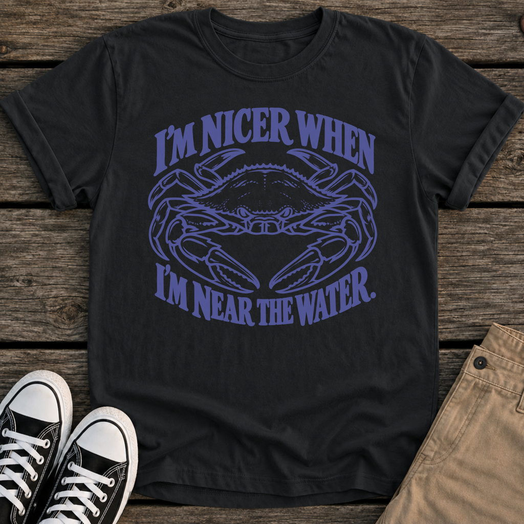 I'm Nicer T-Shirt